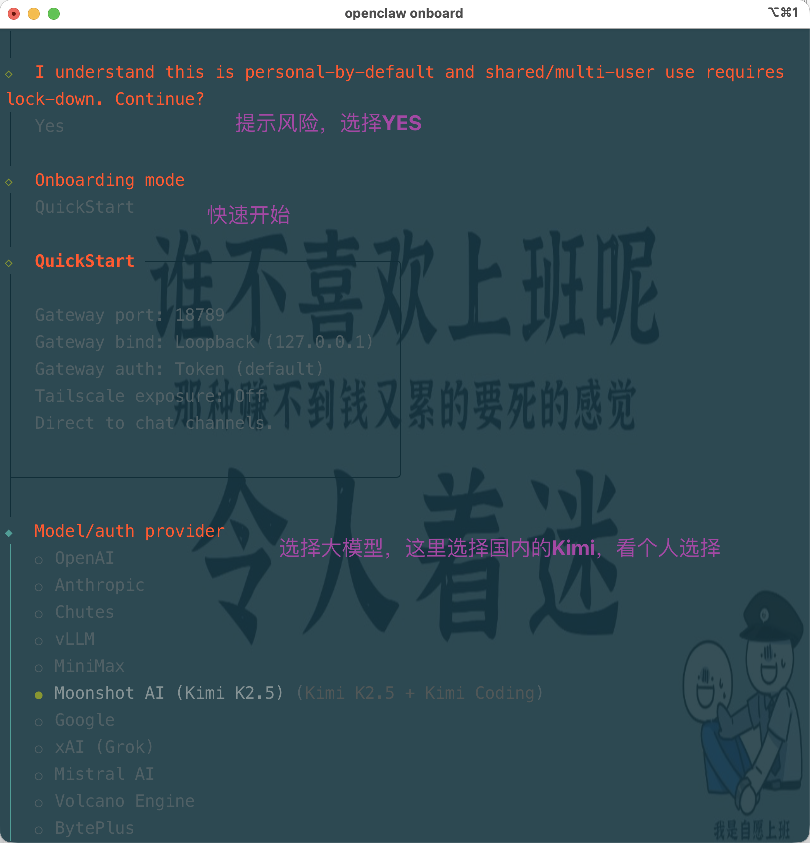 OpenClaw + 飞书 实操上手体验
